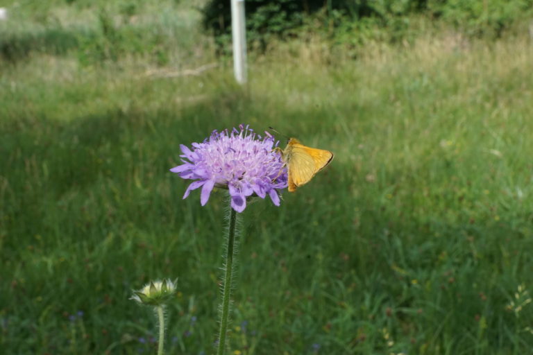 Rückblick auf Moorspaziergang