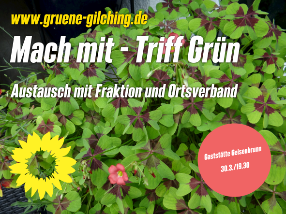 Mach mit – Triff Grün / Schwerpunktthema „Vehicle to grid/home“