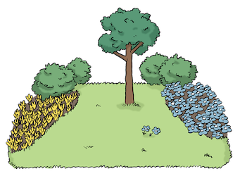 Grafik: Wiese mit Sträuchern und Baum in der Mitte